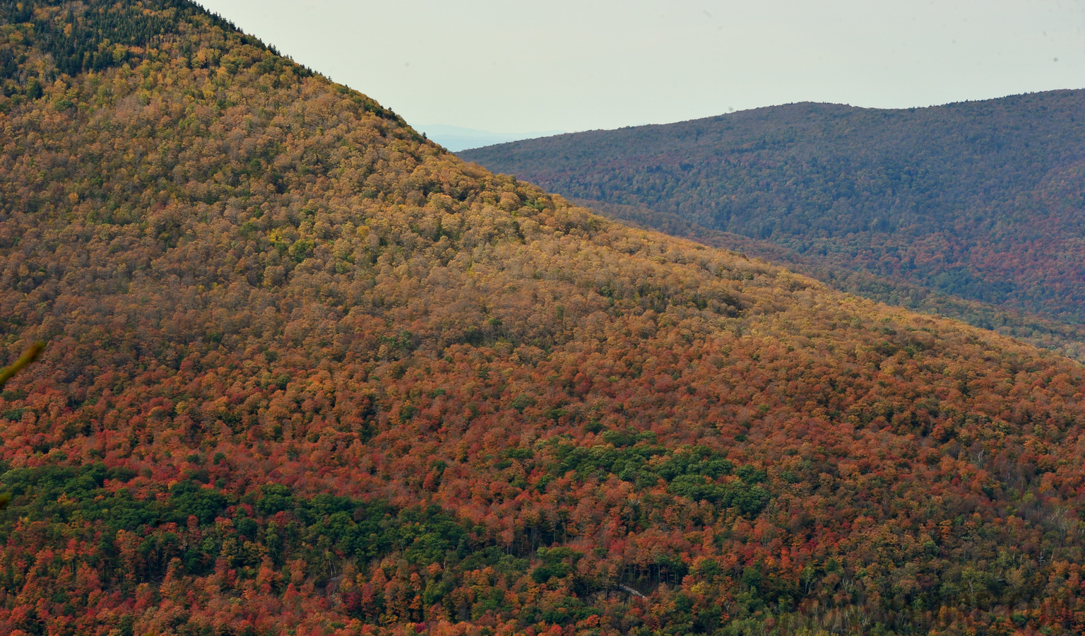 Ascent to Baker Peak [200 mm, 1/160 sec at f / 14, ISO 400]